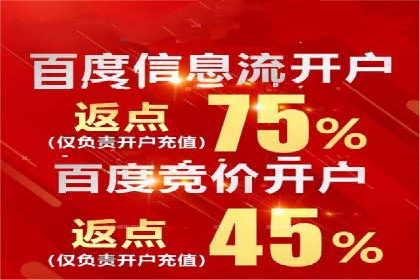 专业SEM服务公司案例分析报告